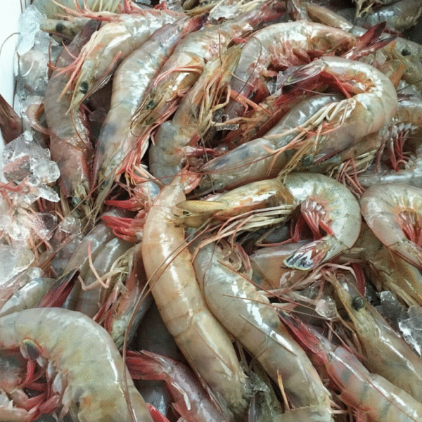 Shrim Large Fish – 1 KG