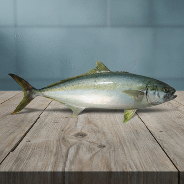 King Fish (Medium) – 1 KG